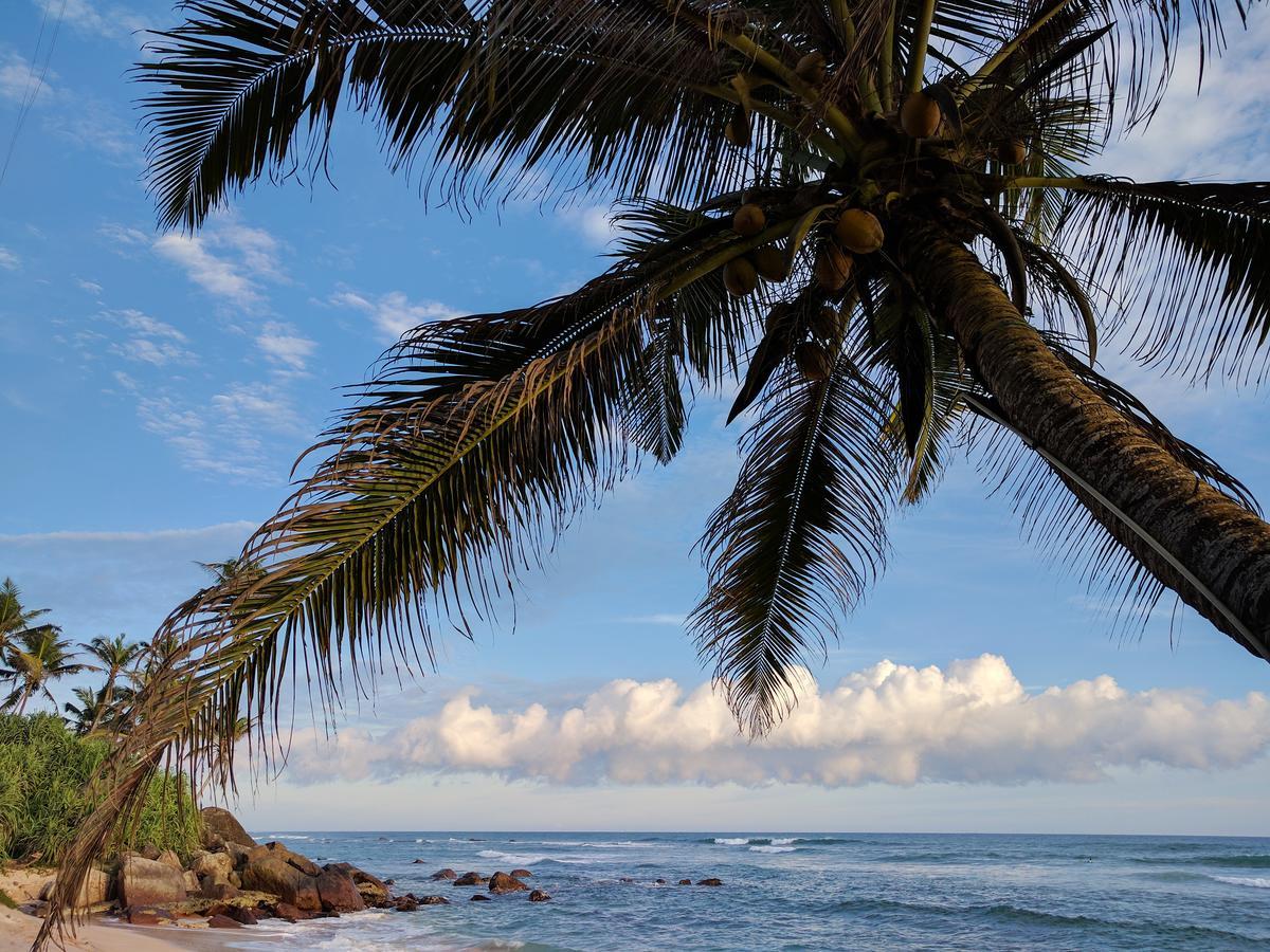 Malee Villa Matara Ngoại thất bức ảnh